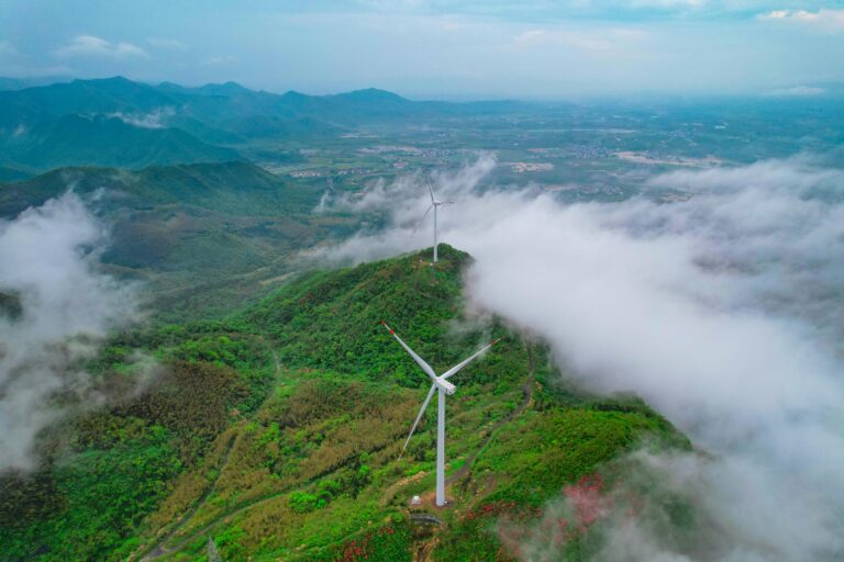 Crecimiento del Sector de Energías Renovables en México: Un Futuro Sostenible